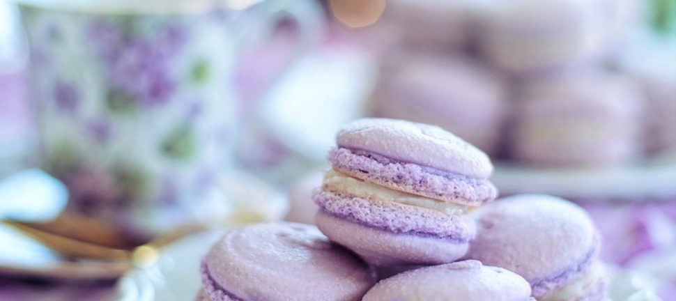 Brunch Vejle: En Kulinarisk Oplevelse til Eventyrrejsende og Backpackere